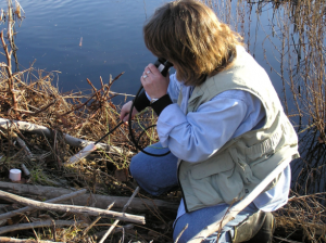 woman photographing beaver dam