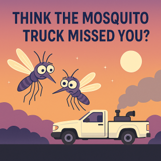 missed truck